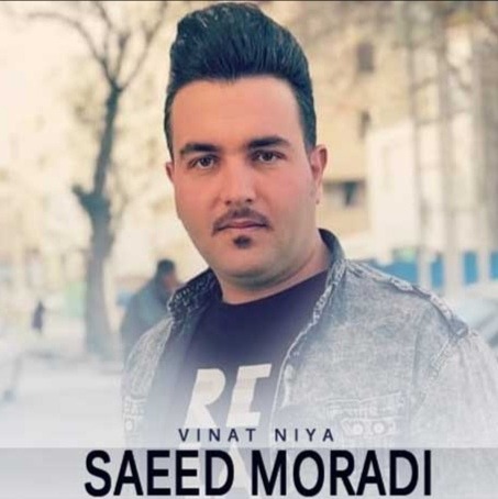 سعید مرادی وینه ت نیه